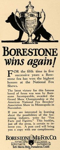 1925 Ad Borestone Mt Fox National Shows Winner Breeders - ORIGINAL CL7