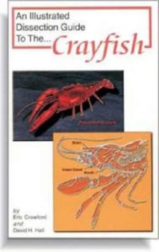 Illustrated Dissection Guide Book To Crayfish