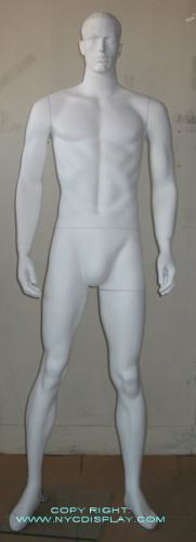 New 6&#039;4&#034;h white muscular male adult mannequin torso 75w for sale