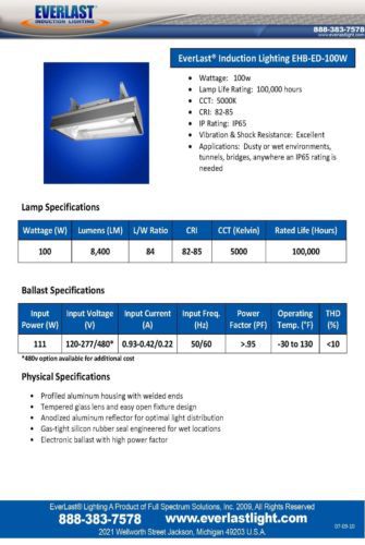 Everlast Induction Lighting Fixtures EHB-ED-100W