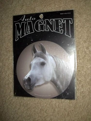 Horse    theme   Auto  Magnet