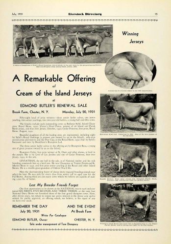 1931 ad edmond butler island jersey cattle sale farming agriculture prize col2 for sale