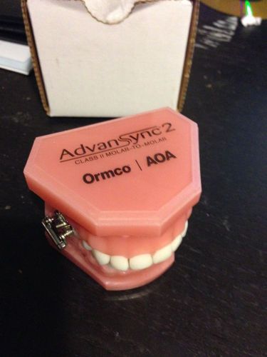 Ormco Advansync 2 Consultation Typodont