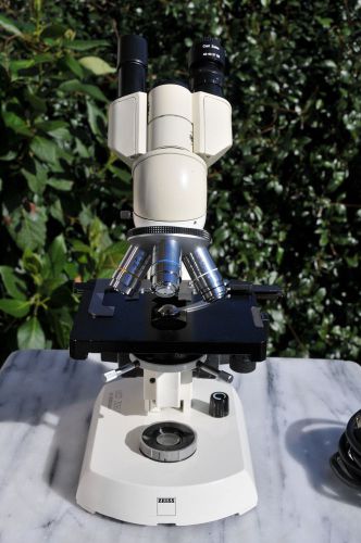 Zeiss Standard 16 Microscope