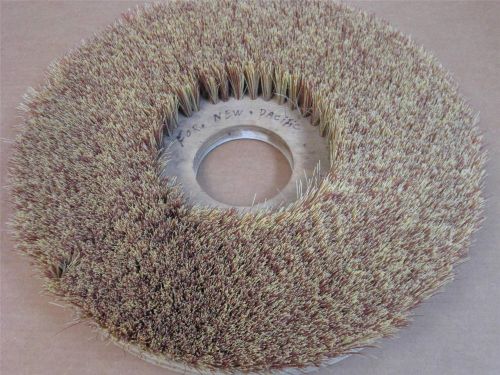 19&#034; Buffer Pad Drive Brush for New Pacific (2&#034; Bristle)