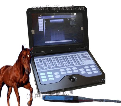 Hot Veterinary Digital portable Laptop B-Ultrasound Scanner+Rectal Probe For Vet