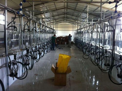 25 pc x 2 fish bone milking parlor - cows - factory direct - express for sale