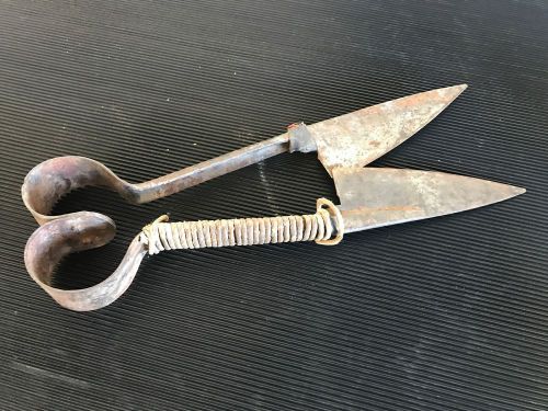 Sheep shears, vintage