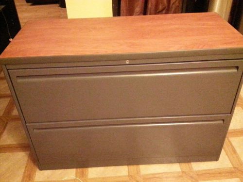 2 Drawer Lateral File Cabinet,Metal,Grey in Color with a Wood Finish Look on Top