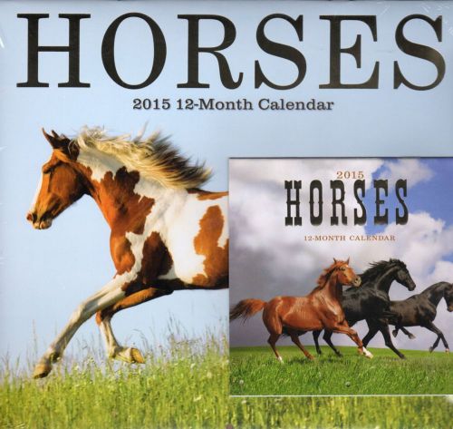 2015 HORSES Wall Calendars Lot - Full 12x11 &amp; Mini Desk Calendar NEW Animals
