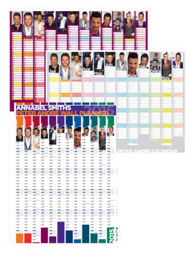 Peter andre 2015 wall planner / calendar -your name on your planner! for sale