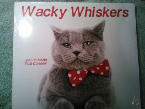 New Cat Wacky Whiskers 16 Month Calendar 2015 Office work job home 11&#034;X 12&#034;