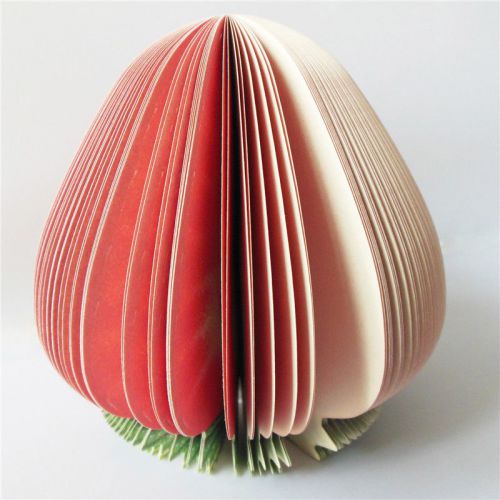 3D Unique Memo Fruit Vegetable shape Note Padsteachers gift Artist Strawberry