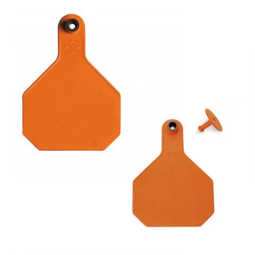 Y-tex 7903000 all american 4-star blank tag, large, orange, pack of 25, new! for sale