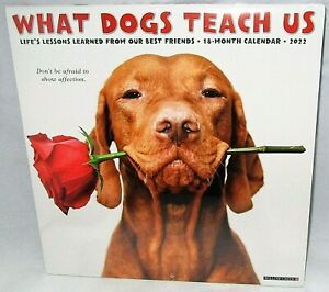 2022 Wall Calendar  WHAT DOGS TEACH US  {12&#034; x 24 When Opened}