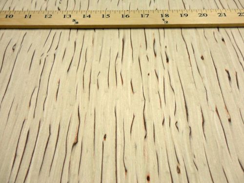Karelian ice birch burl composite wood veneer 24&#034; x 96&#034; with paper backing for sale
