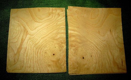 9 Bookmatched leafs White Ash Burl @ 4-5/8 x 3-7/8 Craft wood Veneer (v1139)