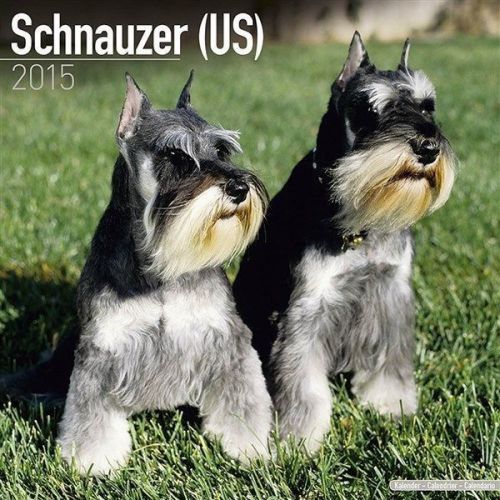 NEW 2015 Schnauzer (US) Wall Calendar by Avonside- Free Priority Shipping!