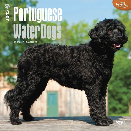 2015 PORTUGUESE WATER DOGS Wall Calendar 12 X 12 NEW &amp; SEALED
