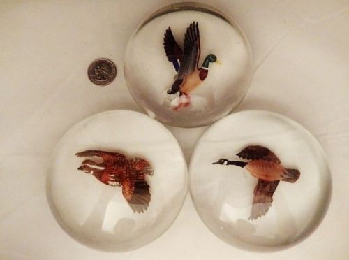 LOT OF 3 VINTAGE PAPERWEIGHTS-HEAVY MAGNIFYING GLASS-DUCKS-PHEASANT?-OFFICE