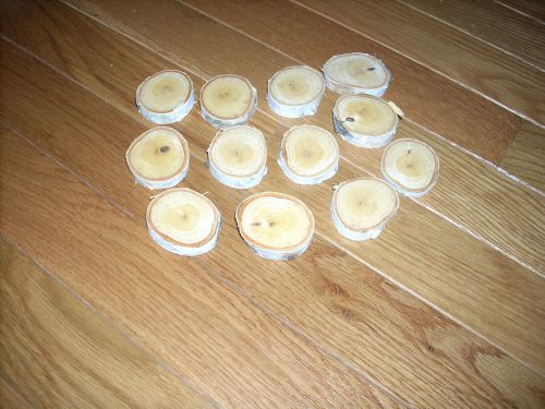 White Birch Mini Sanded Disks (10) (Free Shipping)