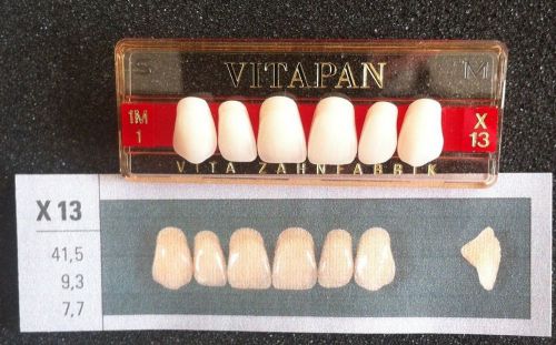 Vitapan Denture Teeth    X13    1M1