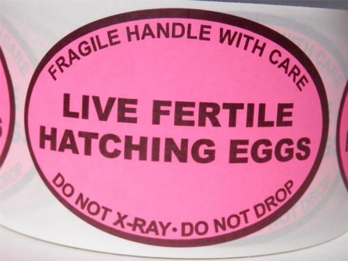 50 LIVE FERTILE HATCHING EGGS Handle/Care Do Not X-Ray Oval Label fluor pink