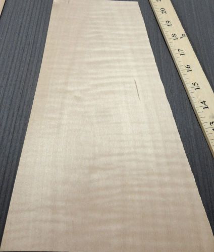 Maple Curly Figured wood veneer 6&#034; x 12&#034; raw with no backing &#034;A&#034; grade 1/42&#034;