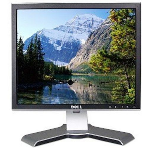 Dell 1707fpc   17&#034; lcd flat panel monitor with its stand for sale