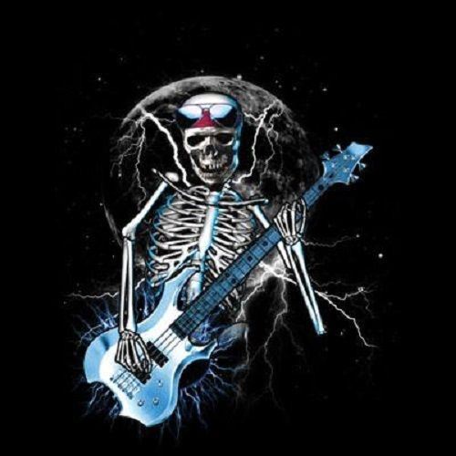 Guitar Skeleton HEAT PRESS TRANSFER for T Shirt Sweatshirt Tote Bag Fabric 059a