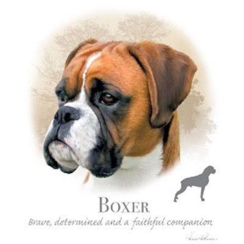 Boxer Dog HEAT PRESS TRANSFER PRINT for T Shirt Sweatshirt Tote Bag Fabric #817f