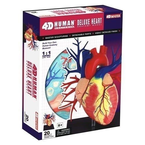 4D DELUXE Human Heart Anatomy Model 3D CutAway Puzzle
