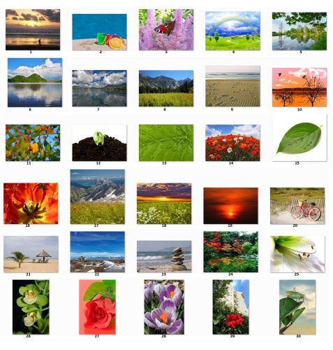 Personalized Address Labels Beautiful Scenic Pictures choose one picture (b1)