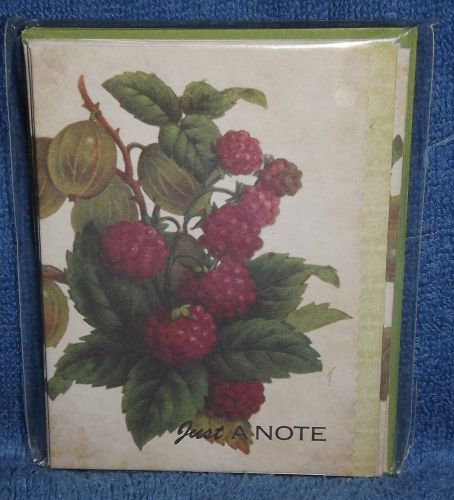 Just a Note Cards from Michaels Raspberry and Figs Cover 3-3/4&#034; x 5&#034;