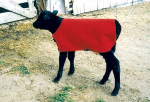 Calf Foal Blanket Coat Warmer (Red) Ripstop Nylon Insulated Waterproof Large NWT