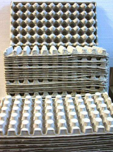 Lot  5 QUAIL EGG Paper Mache Trays 15 1/2&#034; X 8&#034; Hatching Holder 50 Egg Capacity
