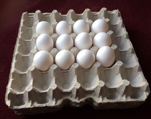 15 CHICKEN EGG CARTONS PAPER TRAYS FLATS HATCHING CRAFT BEADS JEWELRY TOOLS PART