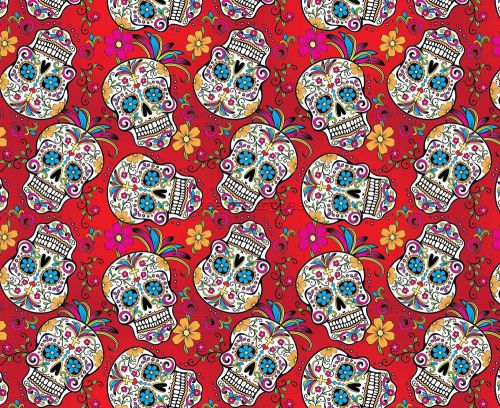 Hydrographic water transfer print hydro dipping film red flower skull girl dip for sale