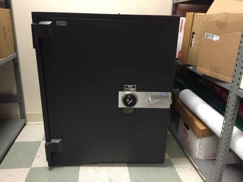 TL-30 gun Safe Bank Vault Safes