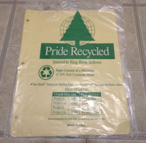 Kleer-Fax Pride Recycled Insertable Ring Book Index-5 per set
