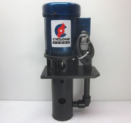 Cyclone Vertical Immersion Suction Pump w/ Emerson BM55A 1-Hp Duty Pump Motor
