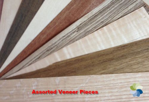 Wood Venner Sheet Assortment, Exotic &amp; Common, 11&#034;x12&#034;, New  75 pieces