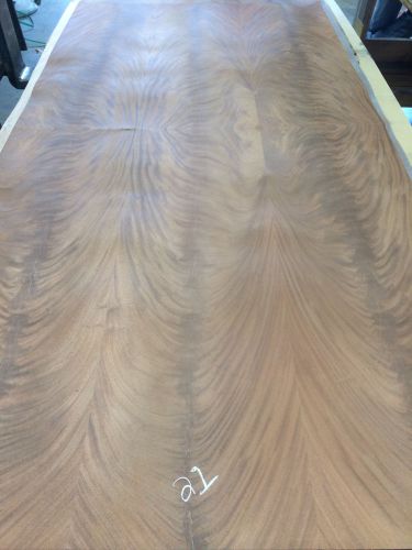 Wood veneer crotch mahogany 48x97 1pcs total 20mil paper backed &#034;exotic&#034; crlm21 for sale