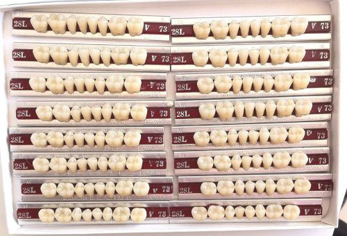 Dentsply New Hue Dentist Dental Lab Porcelain Denture Teeth - 28L  L   73