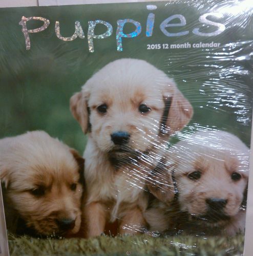 2015 Calendar Puppies 12 x 12 Puppies Dogs New
