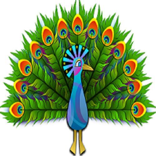 30 Custom Cartoon Peacock Personalized Address Labels