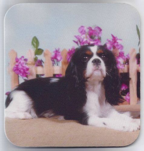 CAVALIER KING CHARLES SPANIEL Heavy Rubber Backed Mousepad #1051