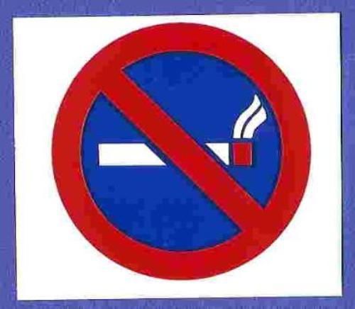 WHOLESALE LOT 100 VINYL TYPE NO SMOKING STICKERS
