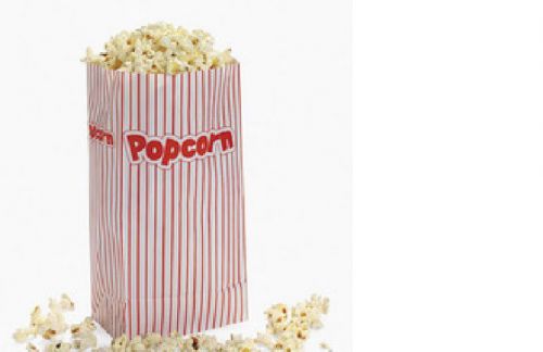 Popcorn Paper bags / 12 pc / party favors / movies {3/285}