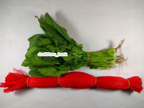 500pc 22&#034; 56cm long red poly mesh bags for celery bamboo shoot asparagus fridge for sale